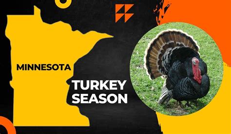 minnesota spring turkey season 2023|turkey hunting in minnesota.